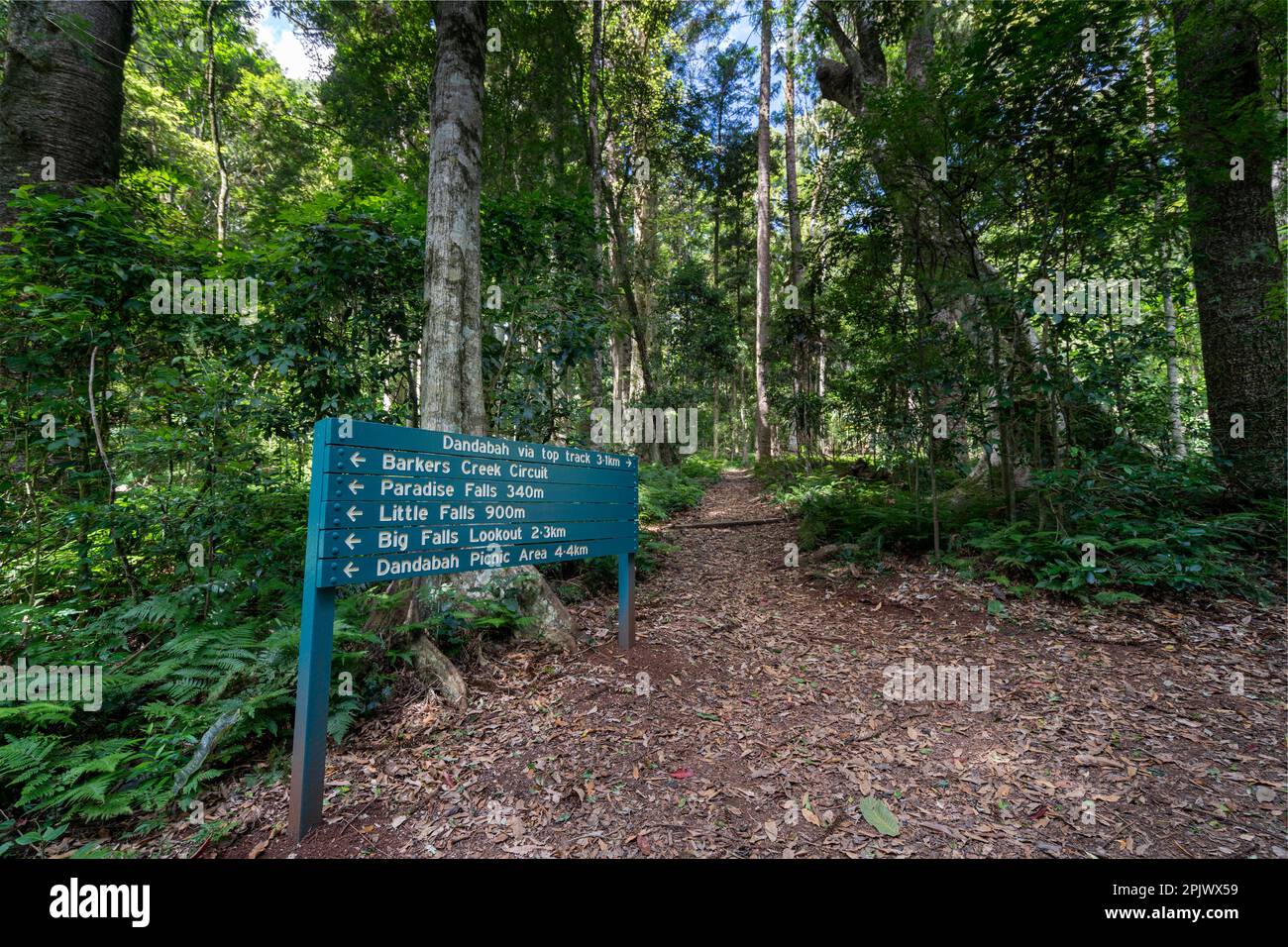Panneau de direction sur la piste de randonnée dans le parc national de Bunya Mountains, Queensland Australie. Banque D'Images
