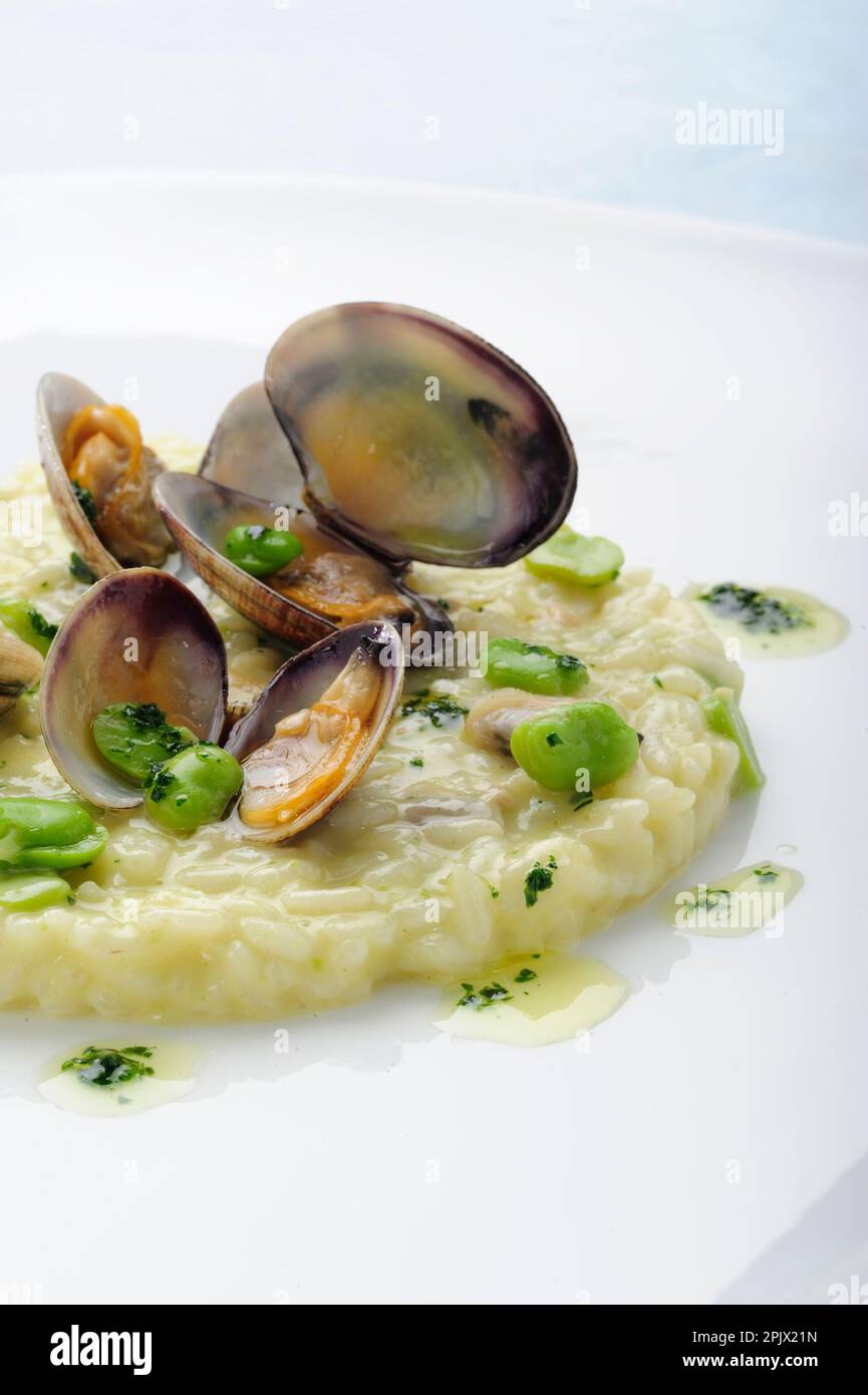 Un plat de risotto aux fèves et palourdes. Banque D'Images