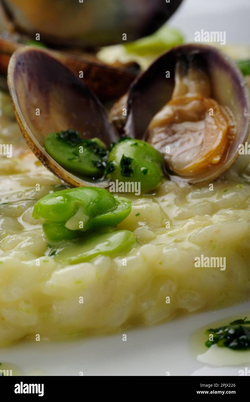 Un plat de risotto aux fèves et palourdes. Banque D'Images