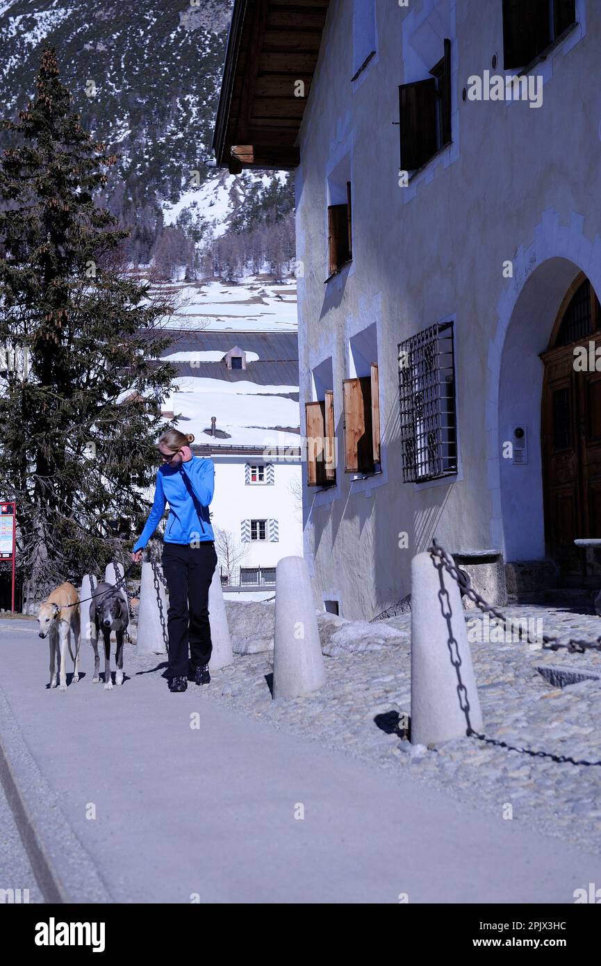 Une promenade avec des chiens dans le village de la Punt Chamues, Engadin, Suisse Banque D'Images