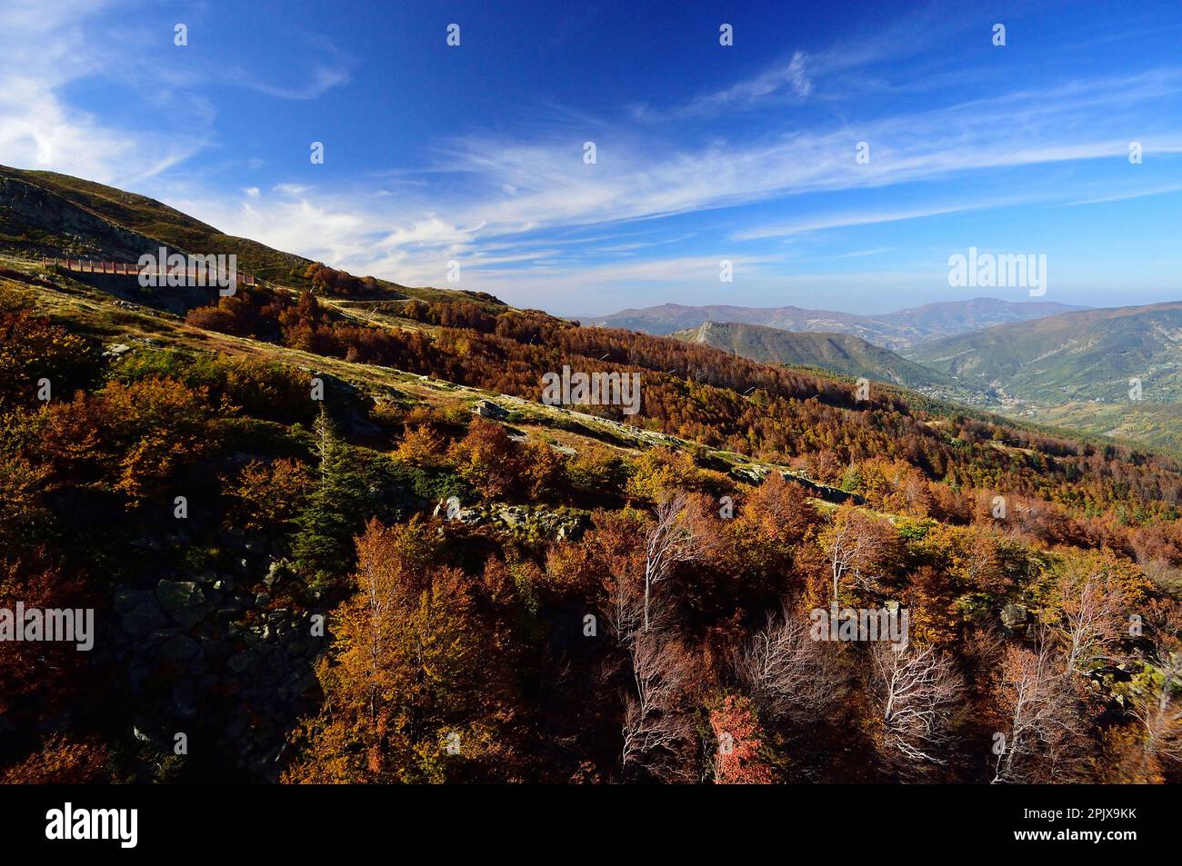 Randonnée jusqu'au sommet de Monte Gòmito à l'automne; Abetone; Montagna Pistoiese; Pistoia; Toscane; Italie ; Europe Banque D'Images