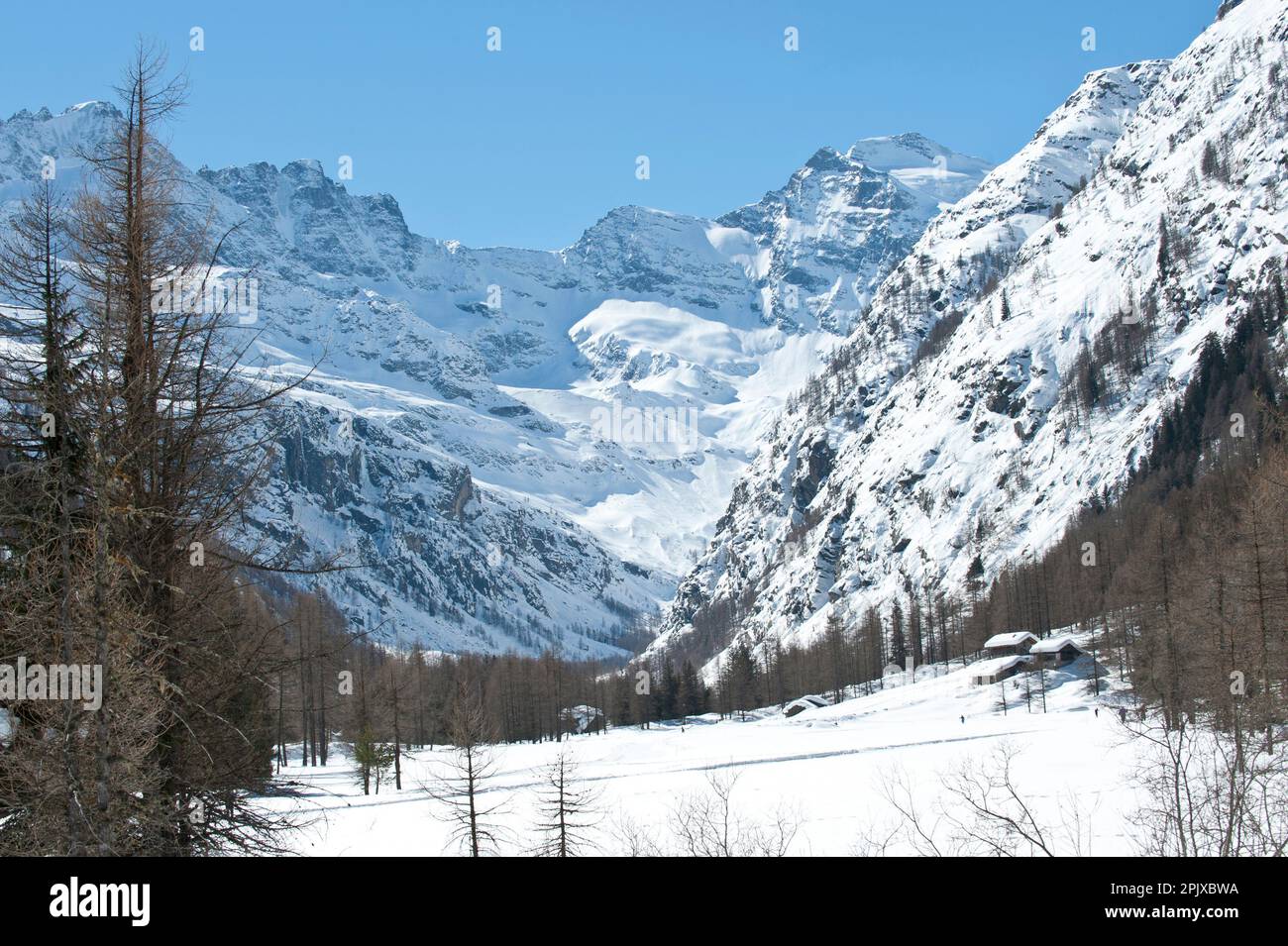 Excursion d'hiver dans la neige avec un enfant de trois ans pour apercevoir des chamois dans le groupe Gran Paradiso. Val di Cogne, Vallée d'Aoste, Italie Banque D'Images