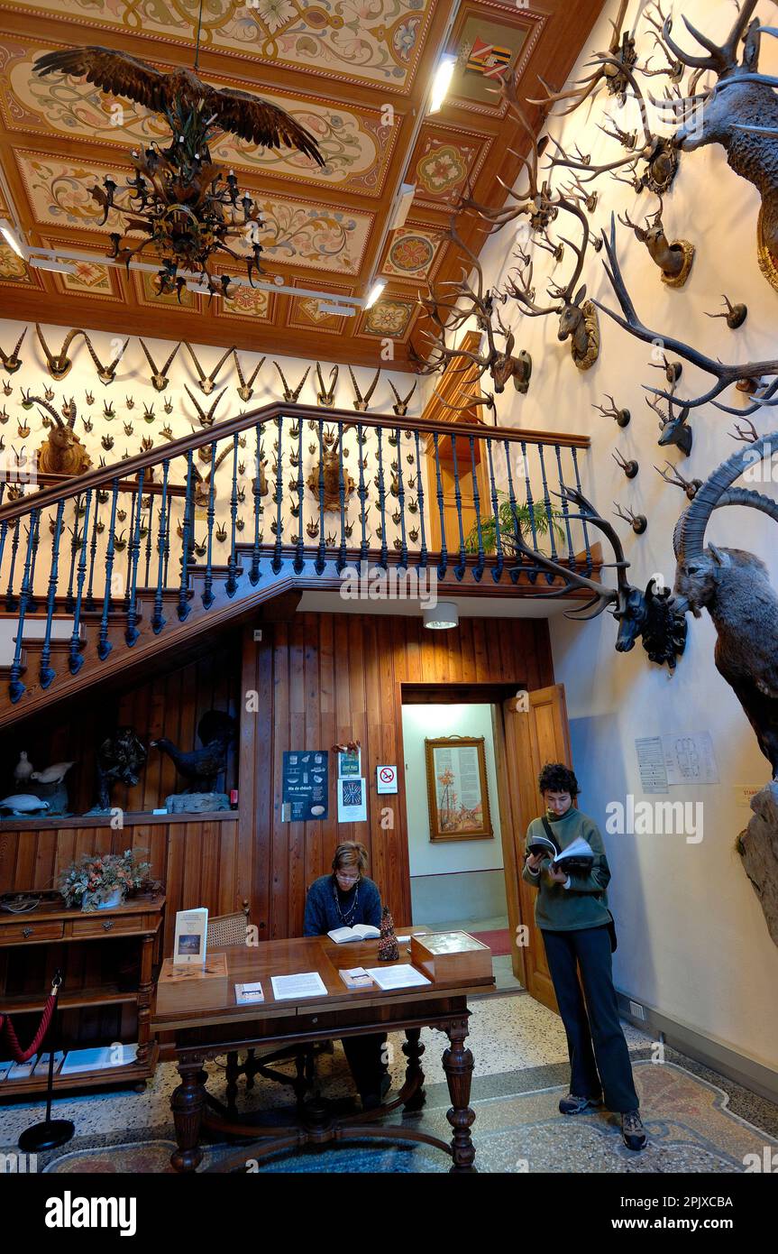 Musée régional de la faune alpine Beck-Peccoz à Gressoney, Vallée d'Aoste, Italie, Europe Banque D'Images
