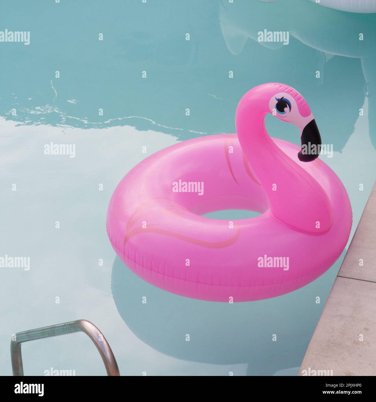 Pink Flamingo Inflatable Pool Floatie dans la piscine - Palm Springs, Californie Banque D'Images