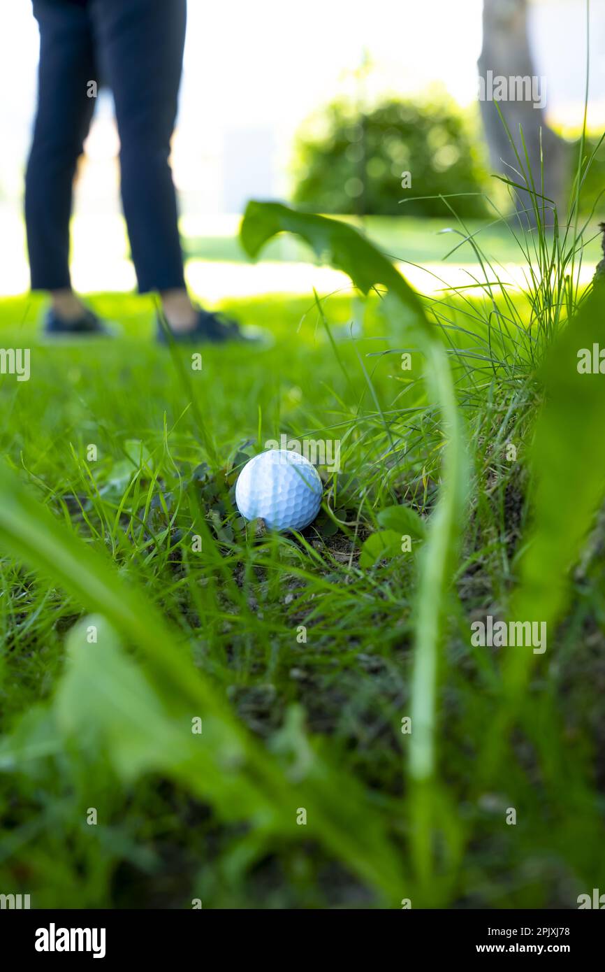 Balle de golf située sur l'herbe rugueuse et golfeur à la recherche de la balle de golf dans les arbres en une journée ensoleillée en Suisse. Banque D'Images