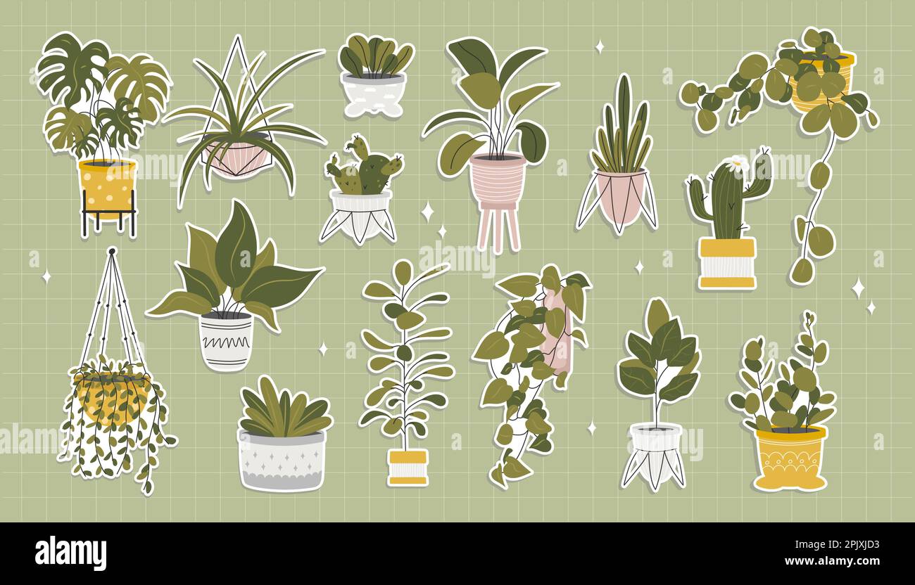 Jeu de différents autocollants de plantes d'intérieur. Illustration de Vecteur