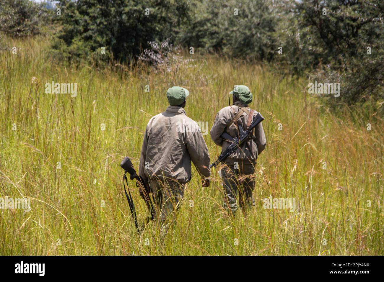 Les Rangers armés d'armes à feu dans le parc de conservation des animaux du Zimbabwe, à Imire Rhino et Wildlife Conservancy Banque D'Images