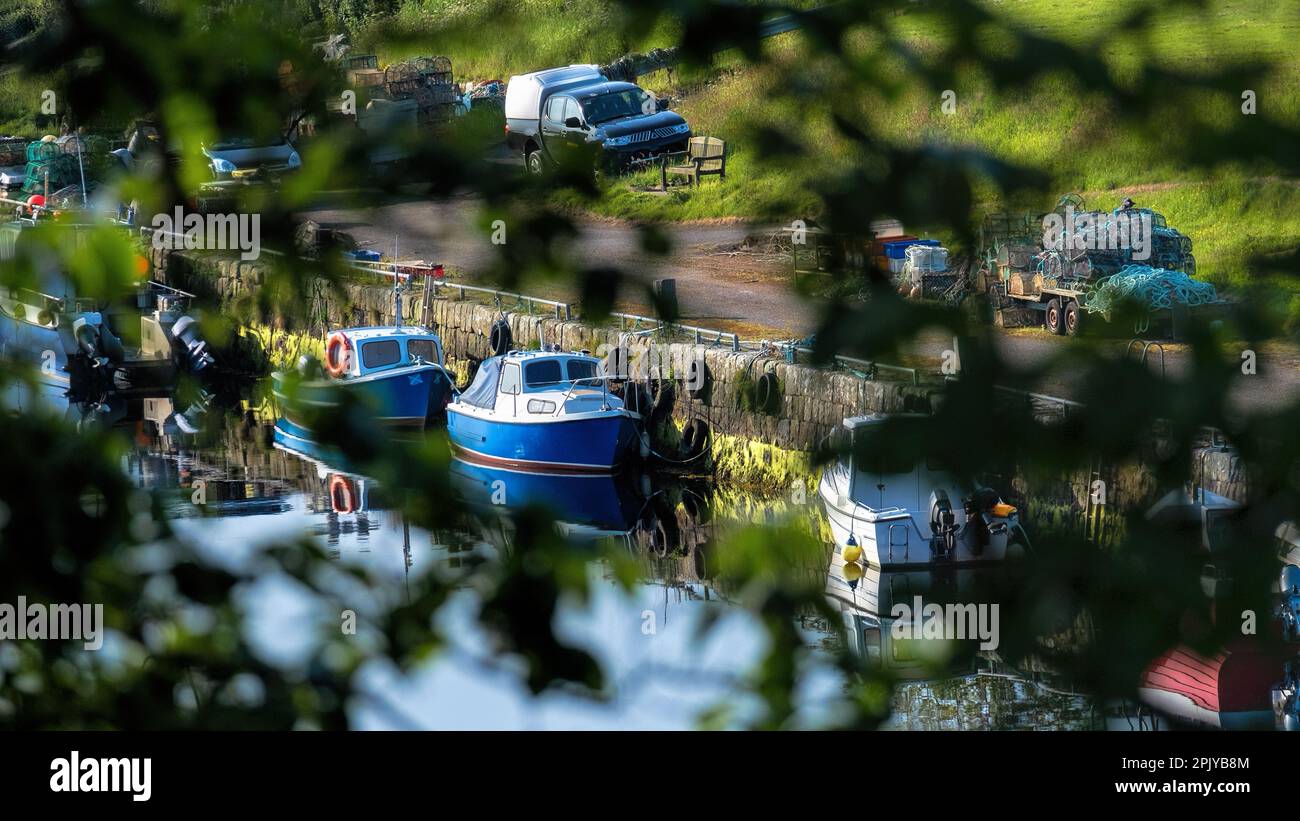 Port de Brora en été vu à travers des arbres lourds avec des feuilles de l'autre côté de la rivière Brora Banque D'Images