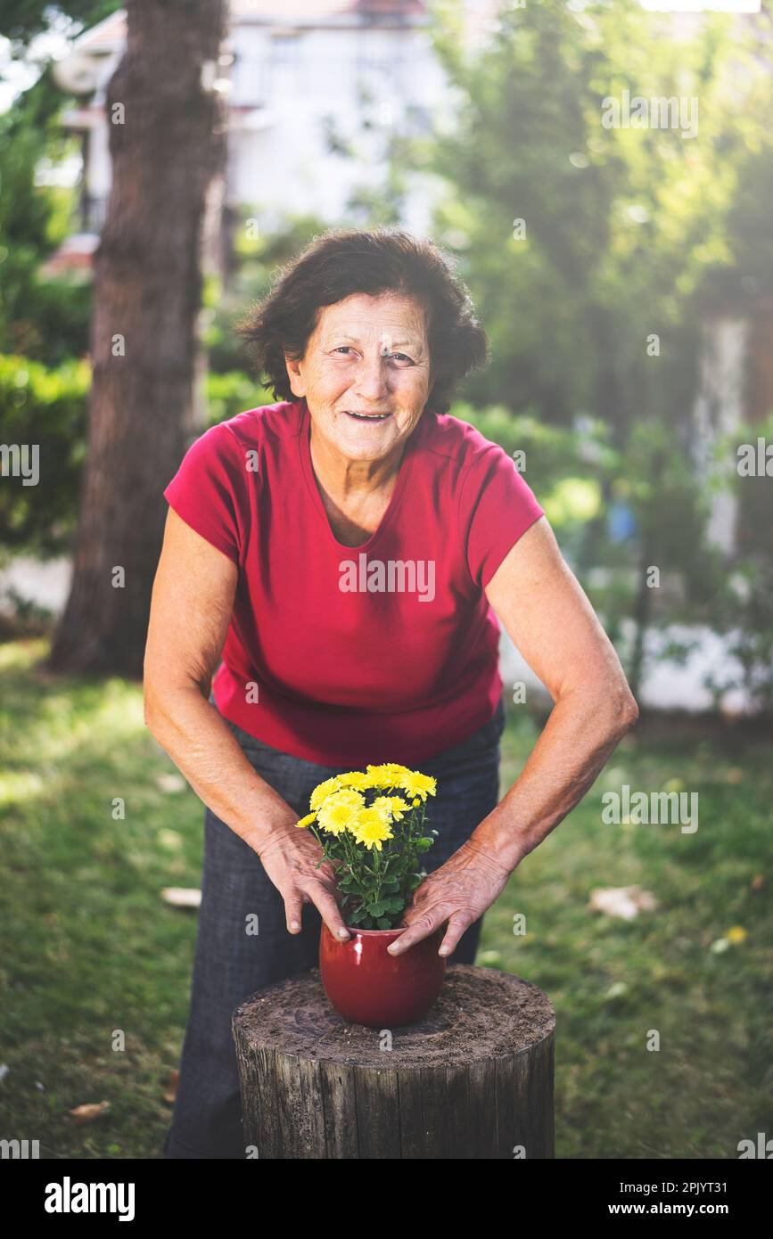 Femme âgée qui empote des fleurs le jour ensoleillé du printemps Banque D'Images