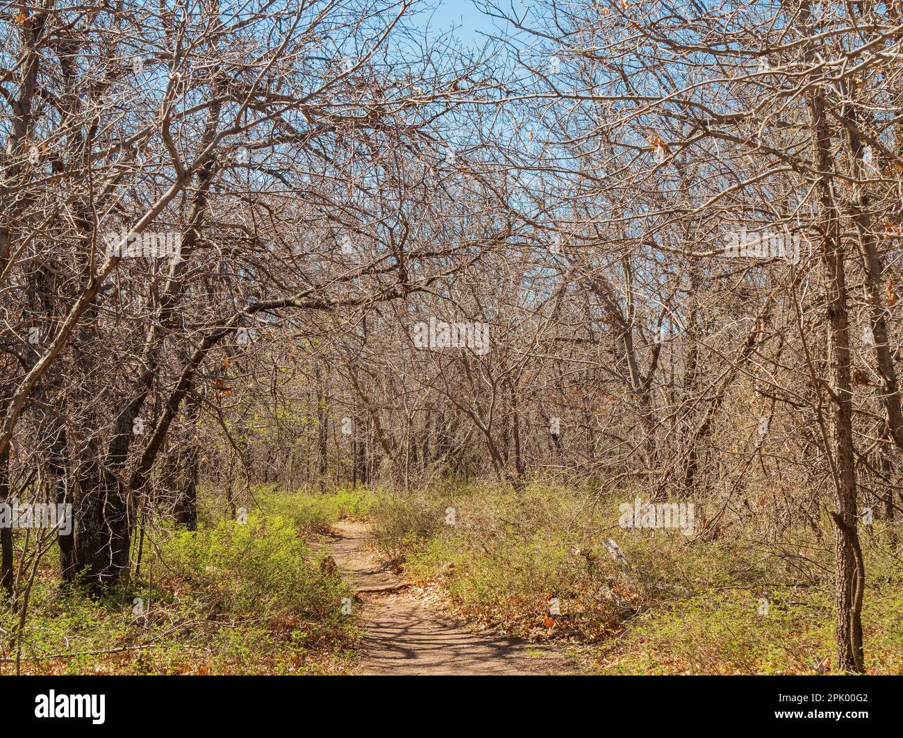 Vue ensoleillée sur le paysage de Crab Eyes Trail dans la réserve