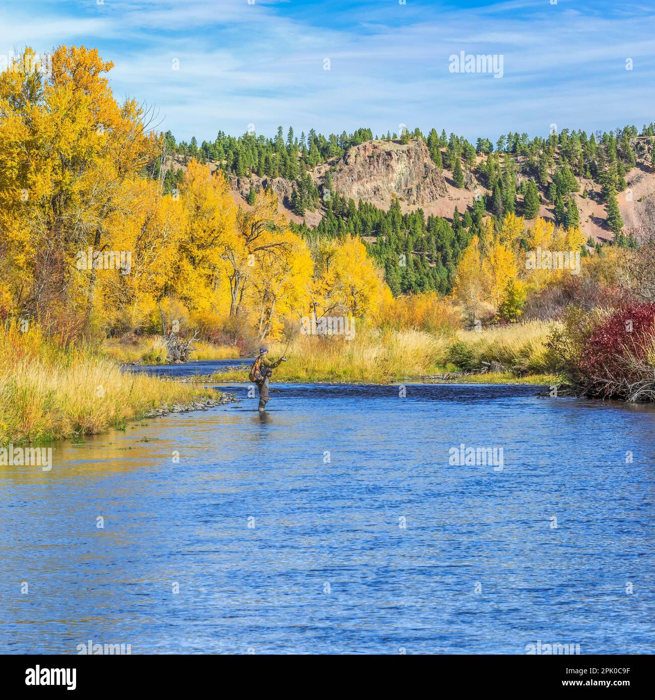 Pêcheur et couleurs d'automne le long de la petite rivière Blackfoot près de avon, Montana Banque D'Images