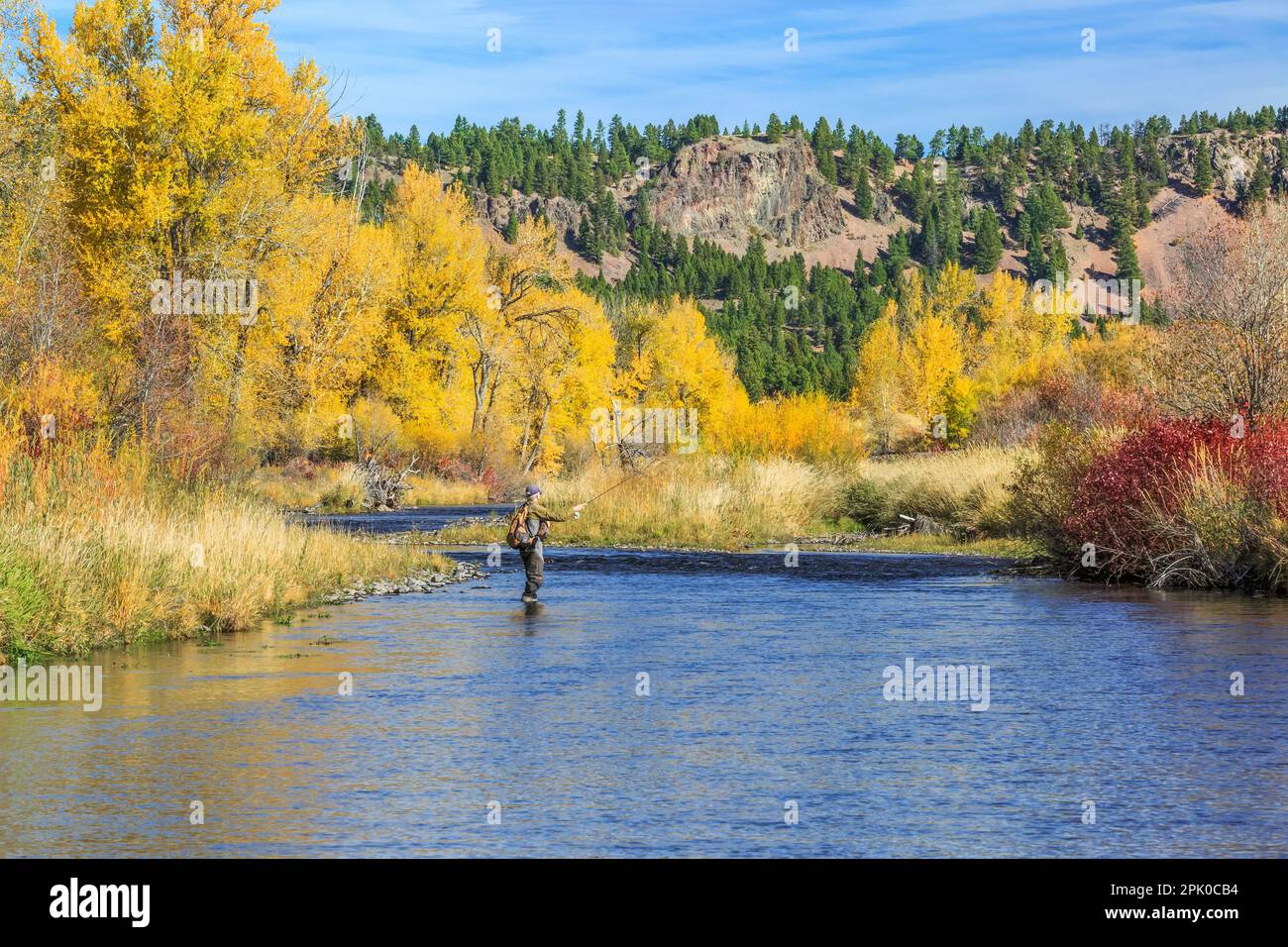 Pêcheur et couleurs d'automne le long de la petite rivière Blackfoot près de avon, Montana Banque D'Images