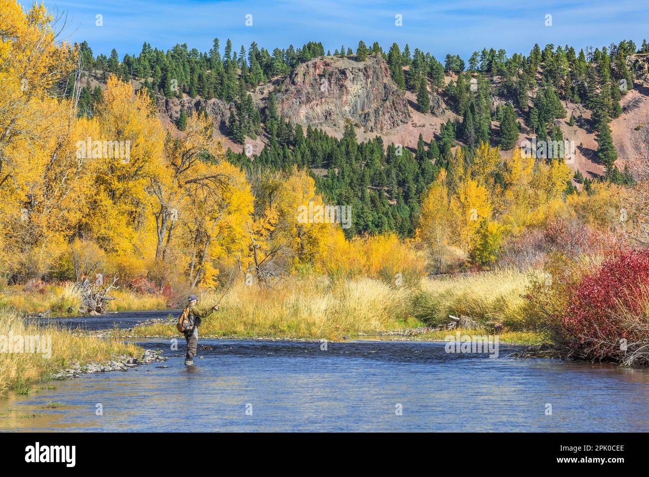 Pêcheur et couleurs d'automne le long de la petite rivière Blackfoot près de avon, Montana Banque D'Images