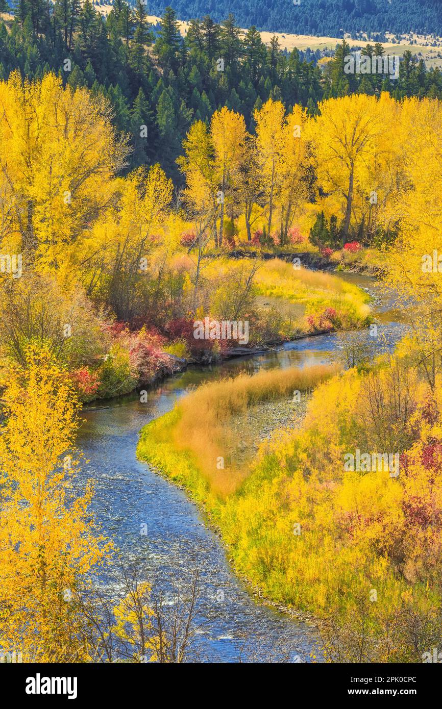 couleurs d'automne le long de la rivière little blackfoot près de la garnison, montana Banque D'Images