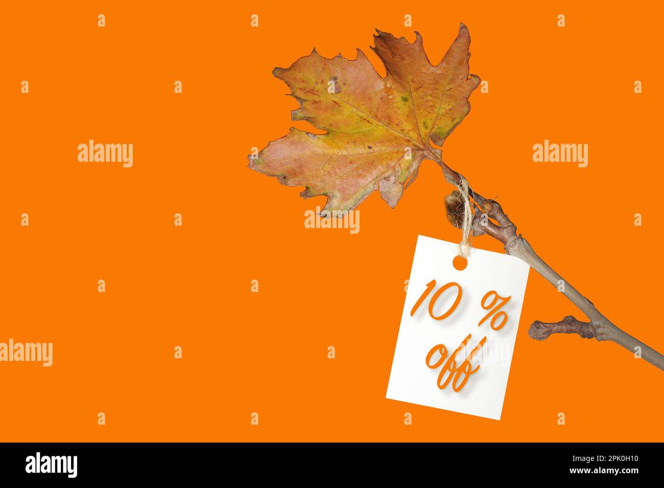 Étiquette avec remise de dix pour cent sur le billet, étiquette de réduction avec feuille jaune sur la branche. Idée de vente d'automne ou d'hiver avec espace pour le texte. Banque D'Images