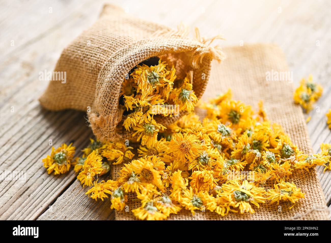 Thé à la fleur de chrysanthème chinois - bourgeons de chrysanthème séchés pour le thé aux herbes sur fond de bois, chrysanthème sec jaune de fleur Banque D'Images Thé à la fleur de chrysanthème chinois - bourgeons de chrysanthème séchés pour le thé aux herbes sur fond de bois, chrysanthème sec jaune de fleur Banque D'Images