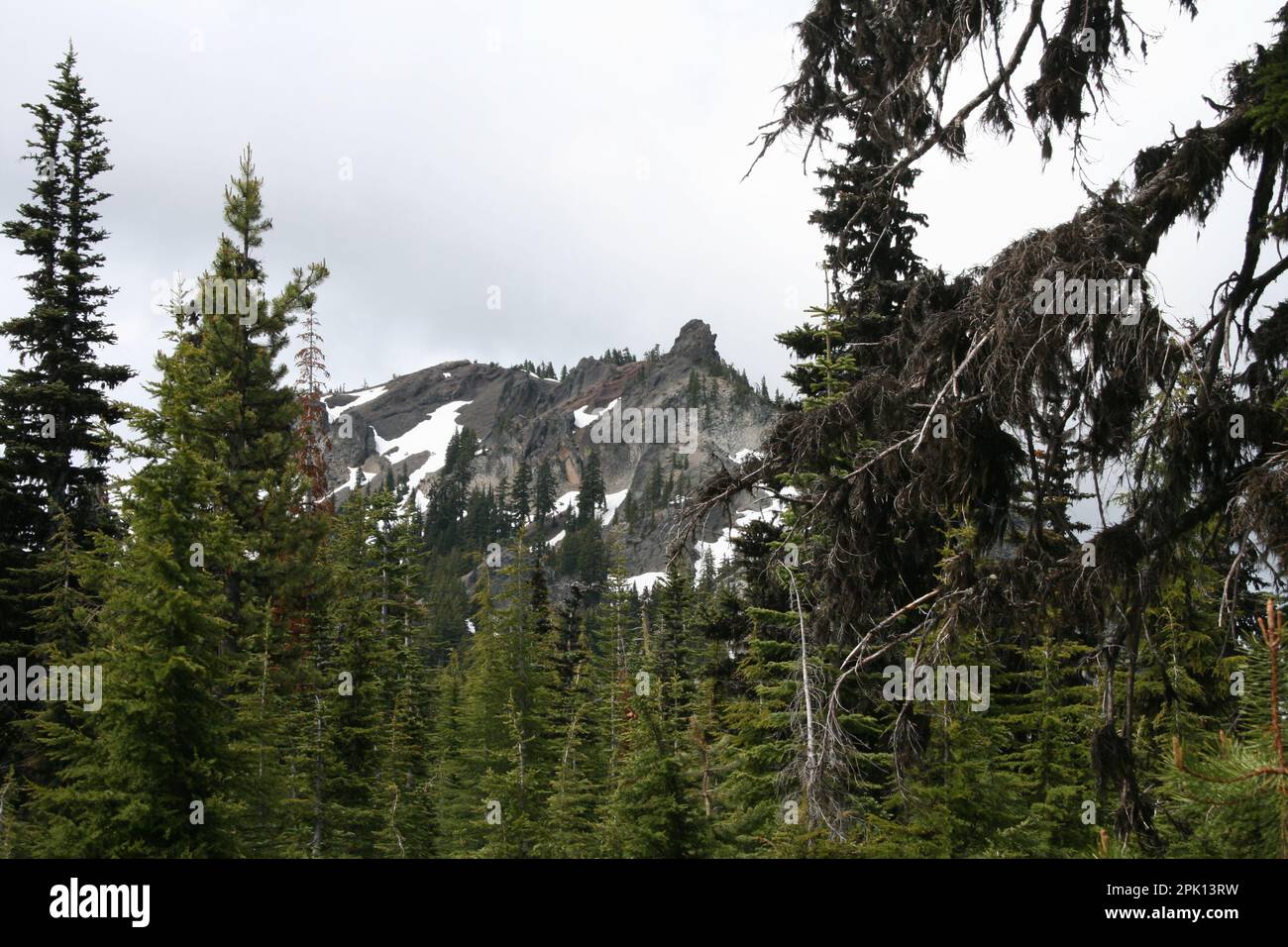Les Devils atteignent le sommet du PCT dans la nature sauvage des sept lacs du comté de Klamath, en Oregon Banque D'Images