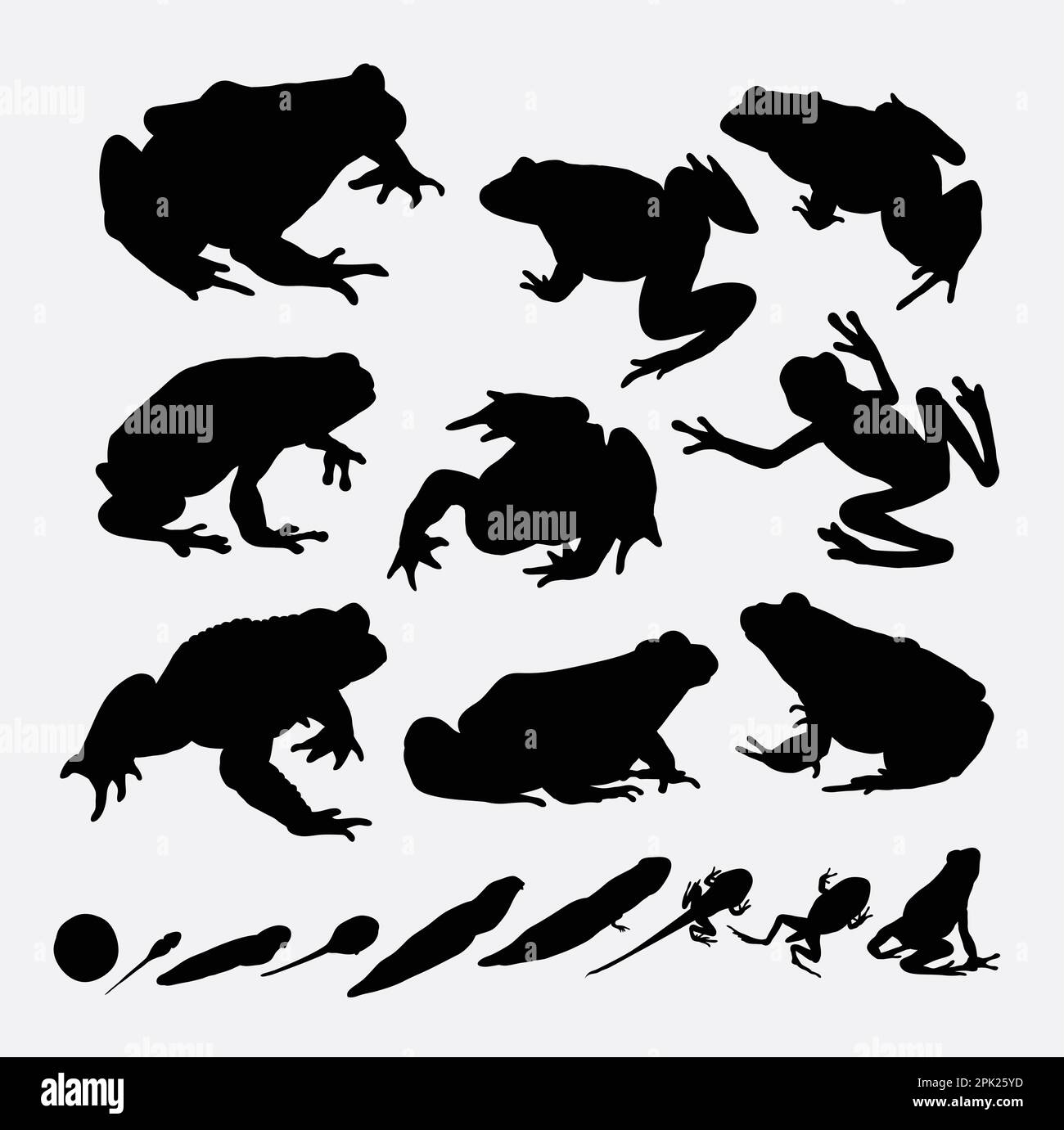 Silhouettes de grenouille et de métamorphose Illustration de Vecteur