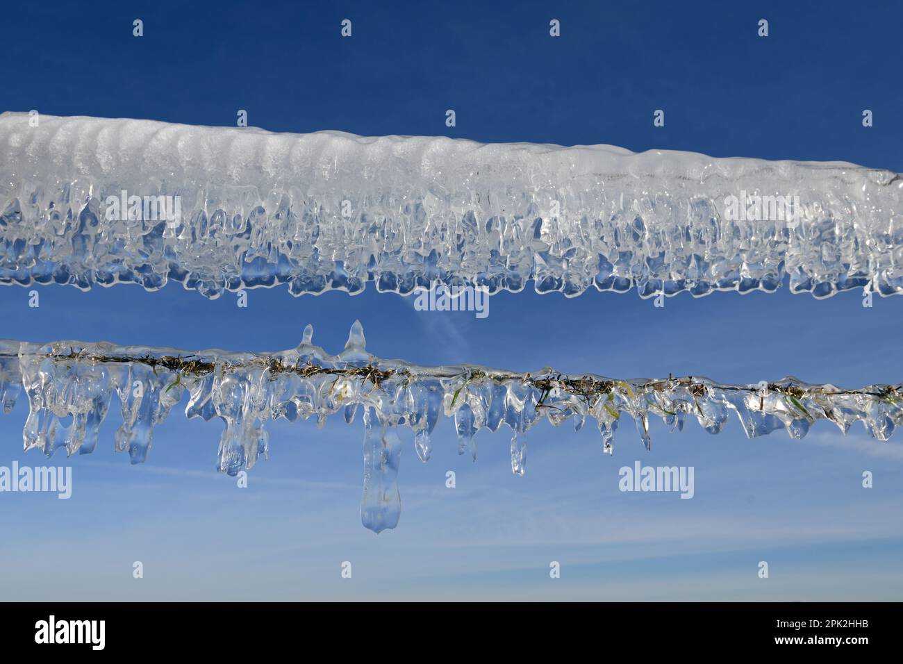 L'âge de la glace... Glaces ( inondation du Rhin ) sur une clôture de pâturage sur l'île Bislicher à l'hiver 2020/2021 Banque D'Images