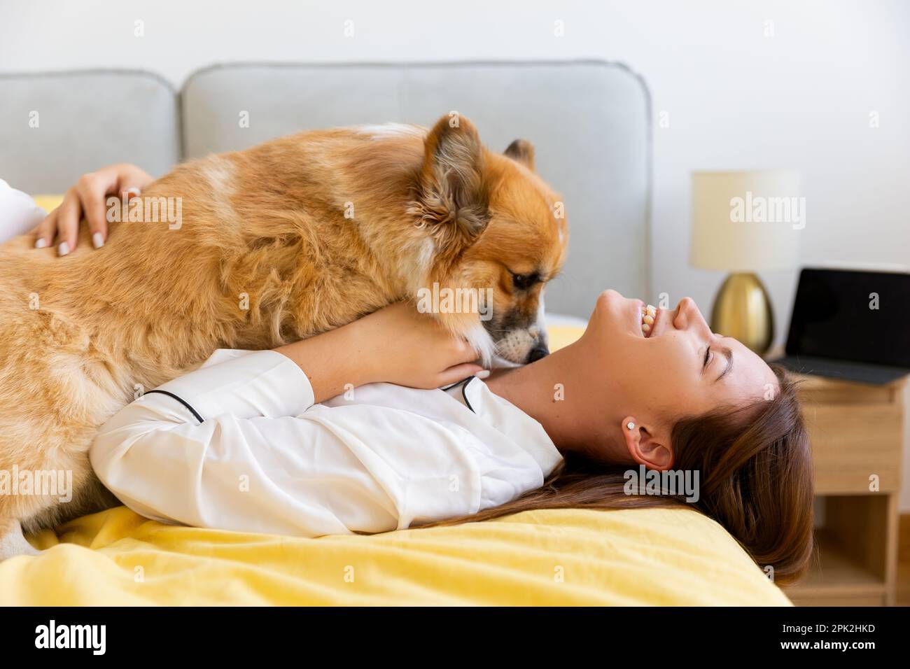 fille avec chien de corgi sur le lit des câlins et des baisers, chien homme ami. Photo de haute qualité Banque D'Images