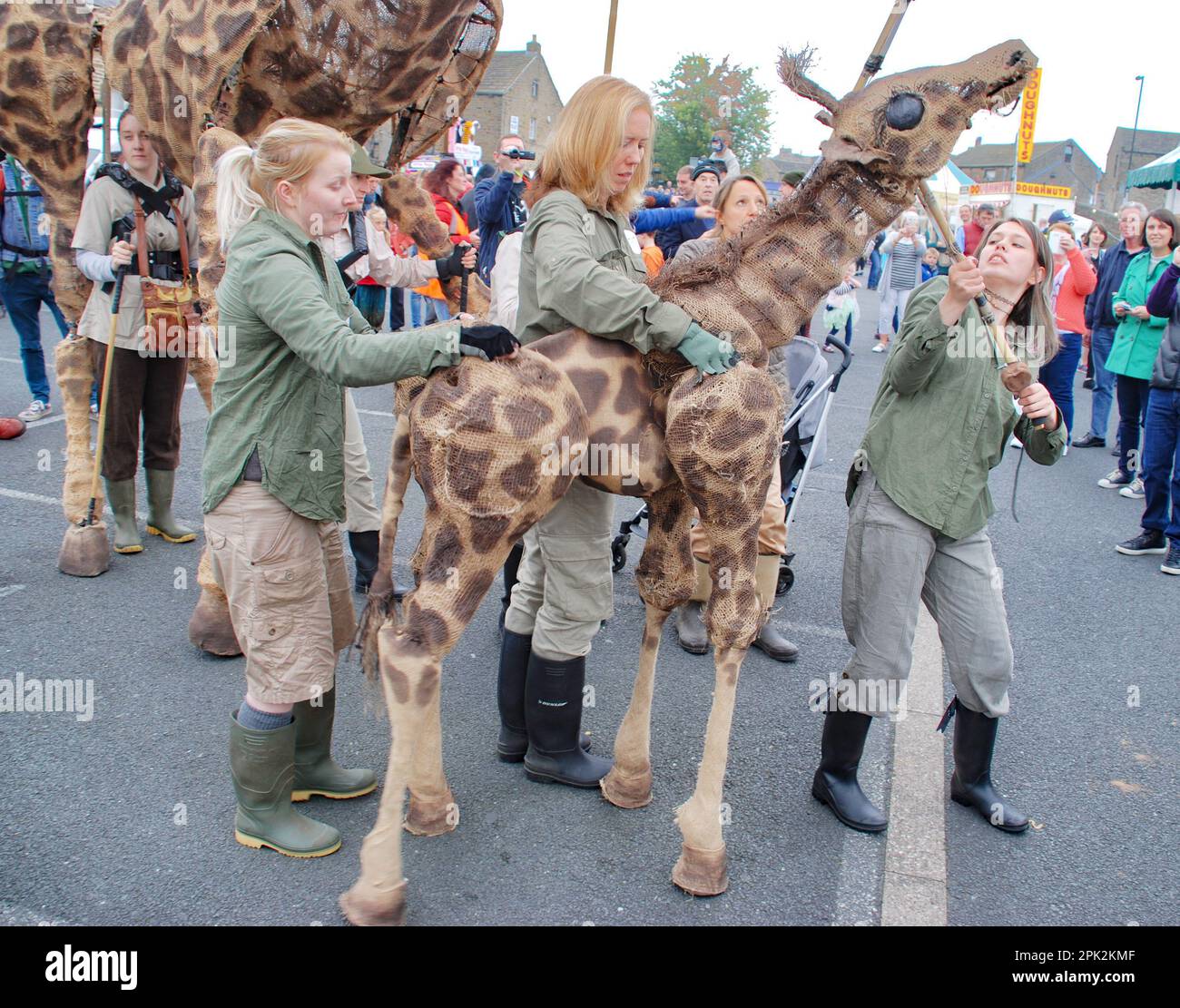 Les marionnettistes travaillent ensemble pour coordonner les mouvements d'une girafe lors du festival international de marionnettes de Skipton vers 2015. (Girafe adulte et progéniture). Banque D'Images