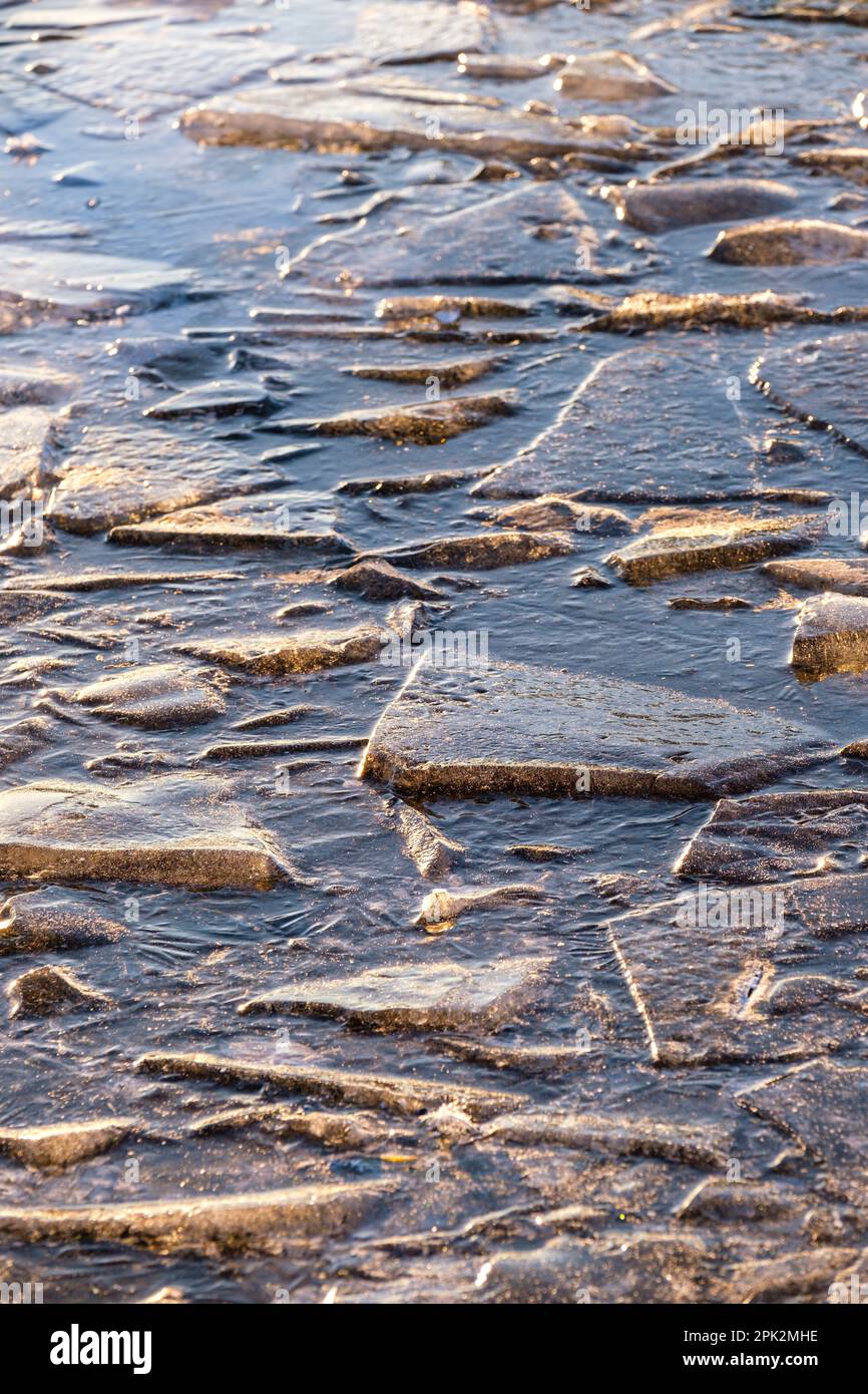 Une grande flaque surgelée dans un champ de fermier avec des morceaux de glace brisés congelés ensemble en formes abstraites. Banque D'Images