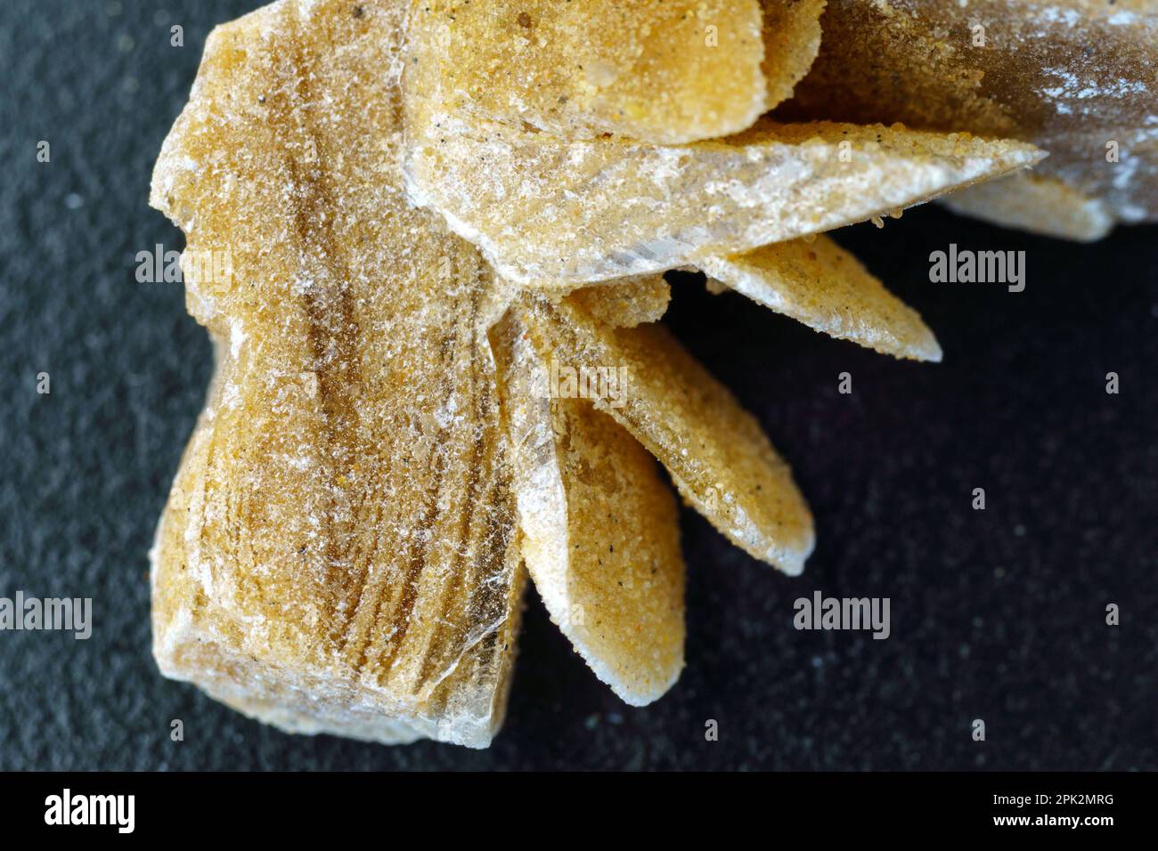 Rose du désert. Gros plan minéral naturel du groupe de pierres provenant de cristaux de gypse de sable. Macro Banque D'Images