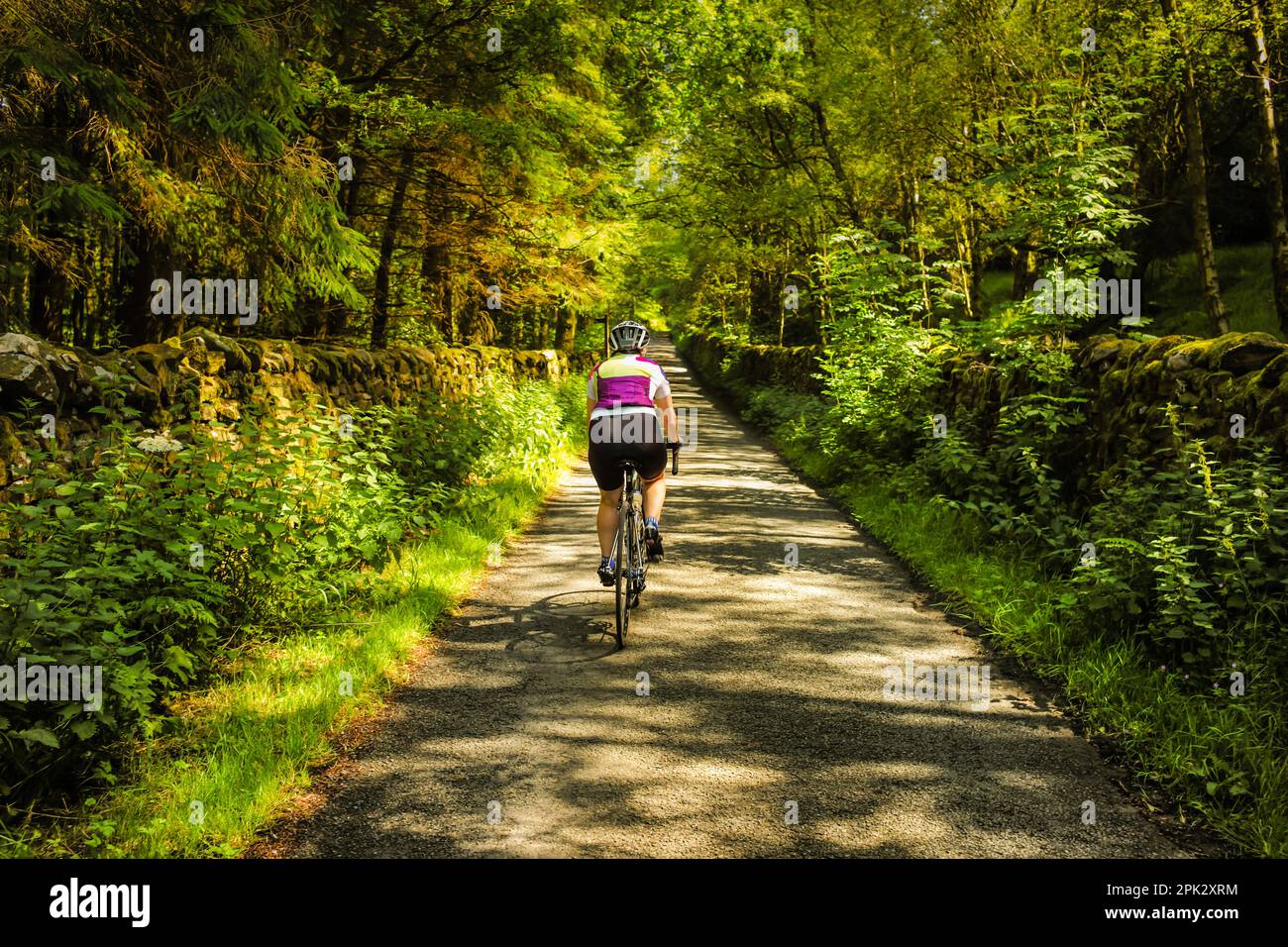 Cycliste de route de sexe féminin, qui profite des ruelles calmes de Bowland, Lancashire, Royaume-Uni. Banque D'Images