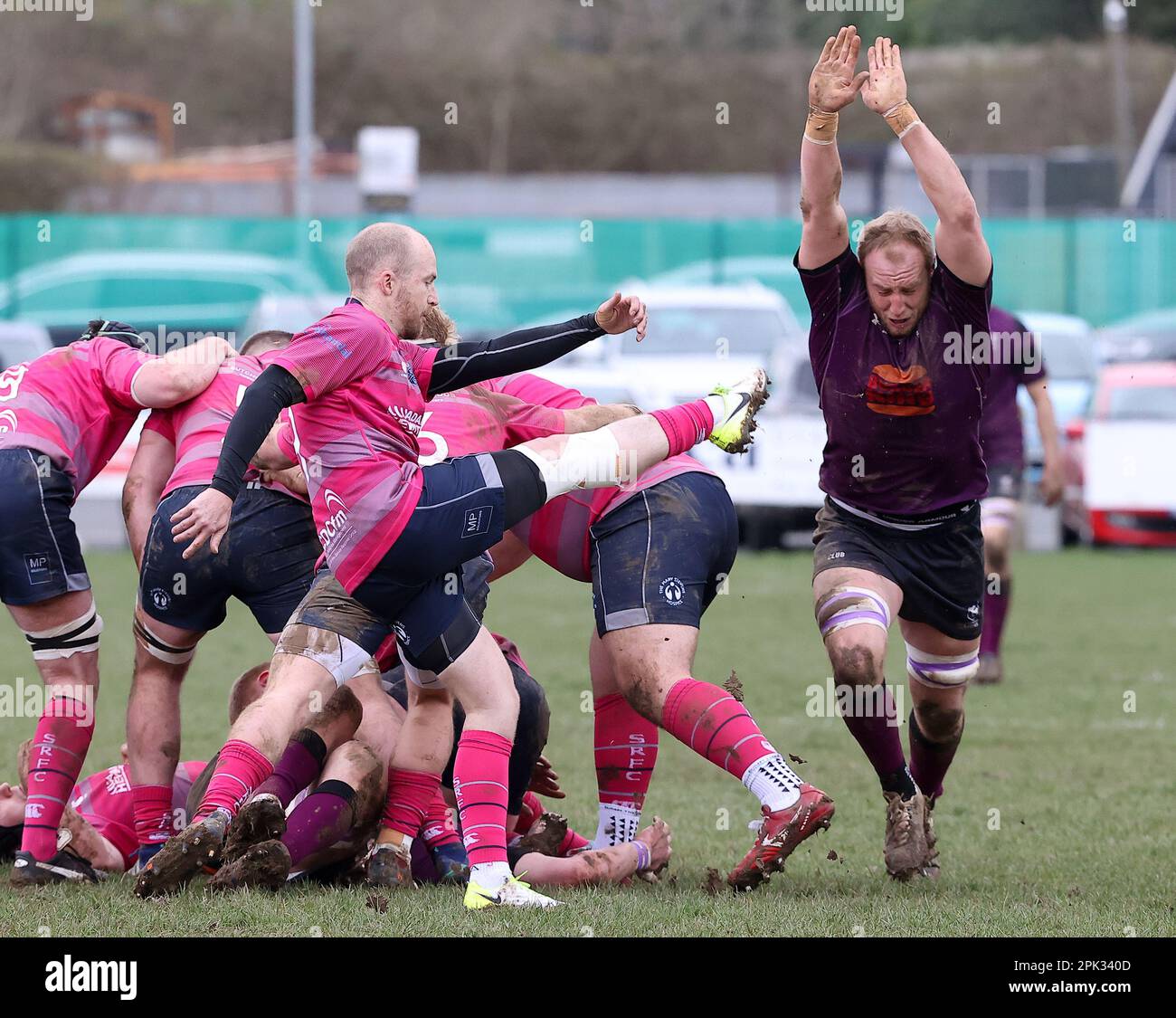 Images de la coupe du monde de rugby Banque de photographies et d