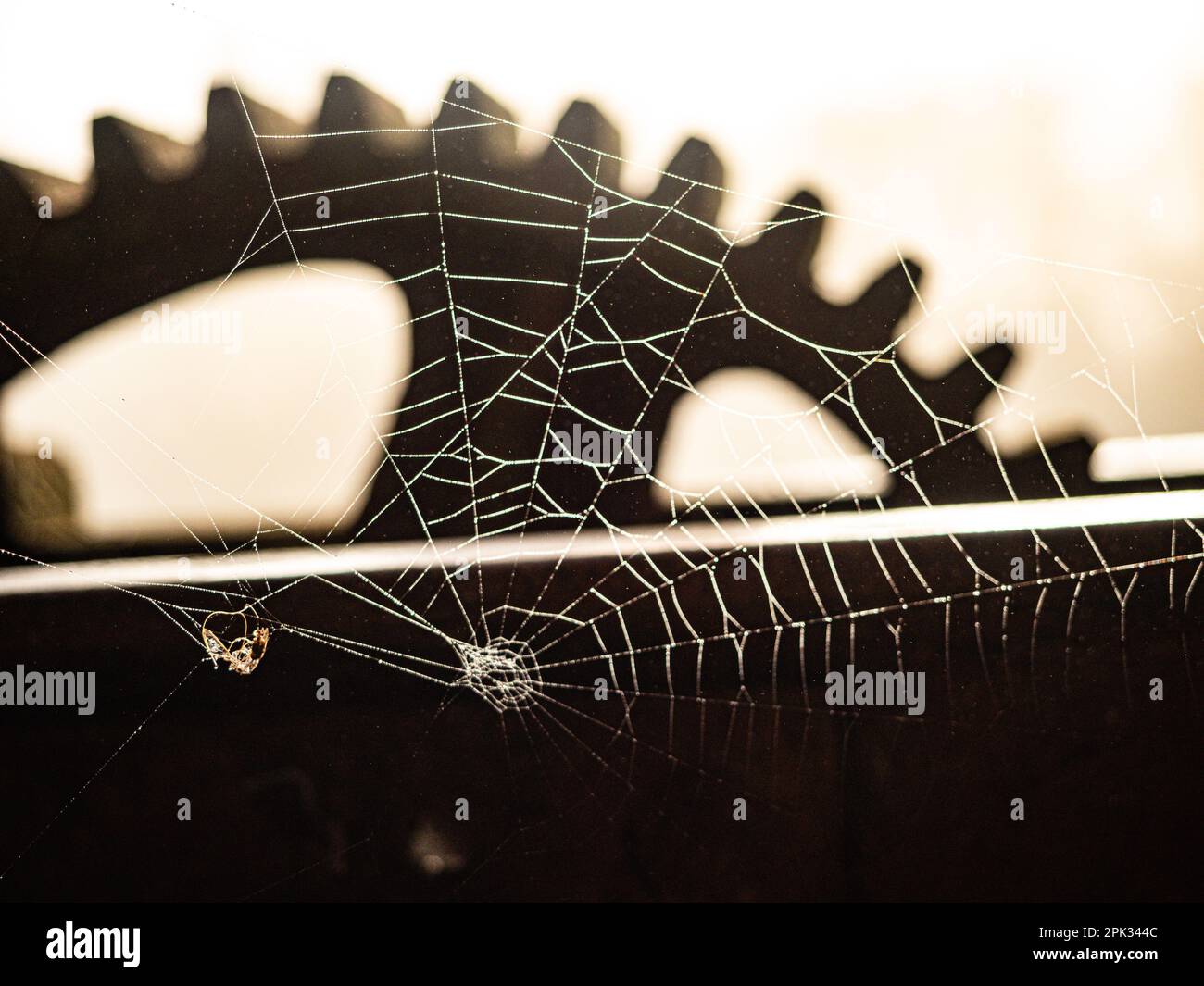 Gros plan de détails complexes de tour d'horloge avec une grande toile d'araignée étirée à travers la structure Banque D'Images