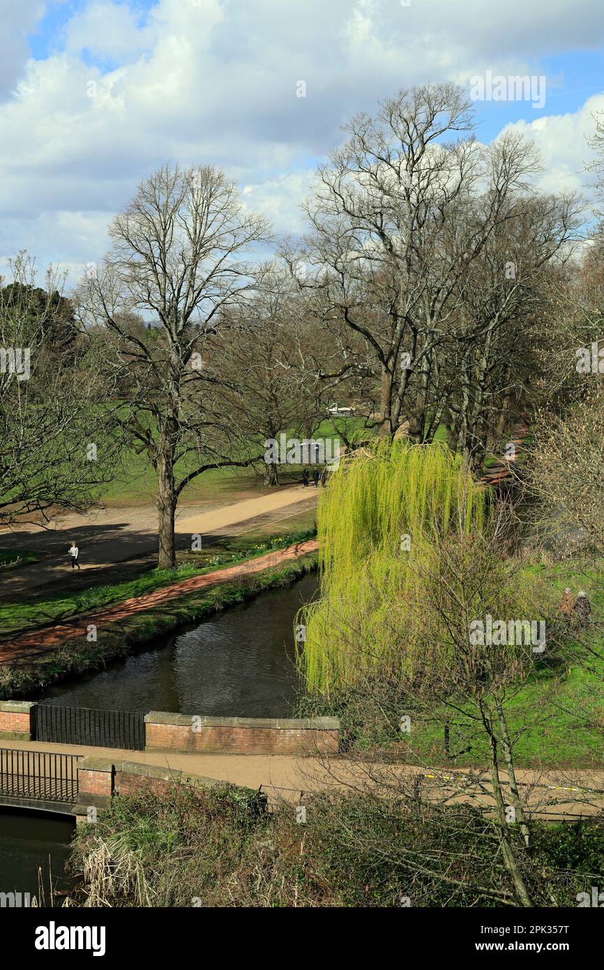 Canal d'alimentation, Bute Park, Cardiff. Banque D'Images