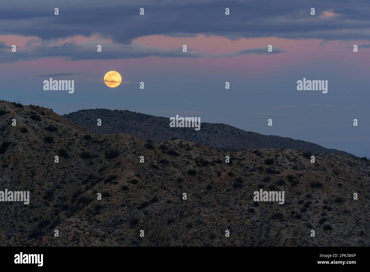 La pleine lune du loup s'élève avec un ciel nuageux pastel sur les hauts de Desert Mountain Banque D'Images