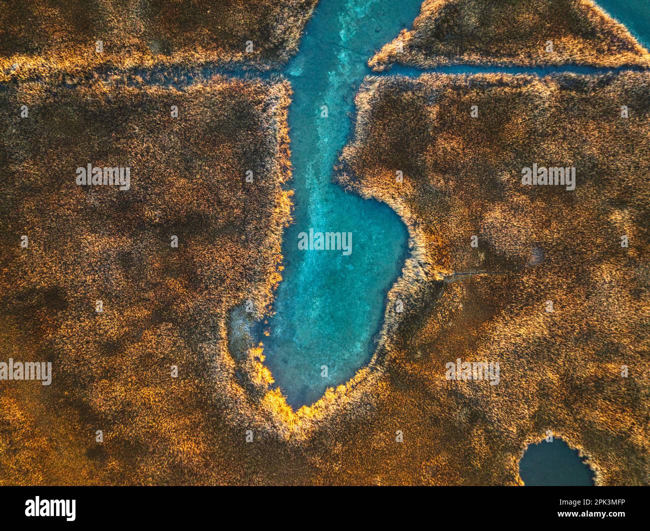 Une vue aérienne de la vaste étendue des zones humides ponctuée par des amas de végétation Banque D'Images