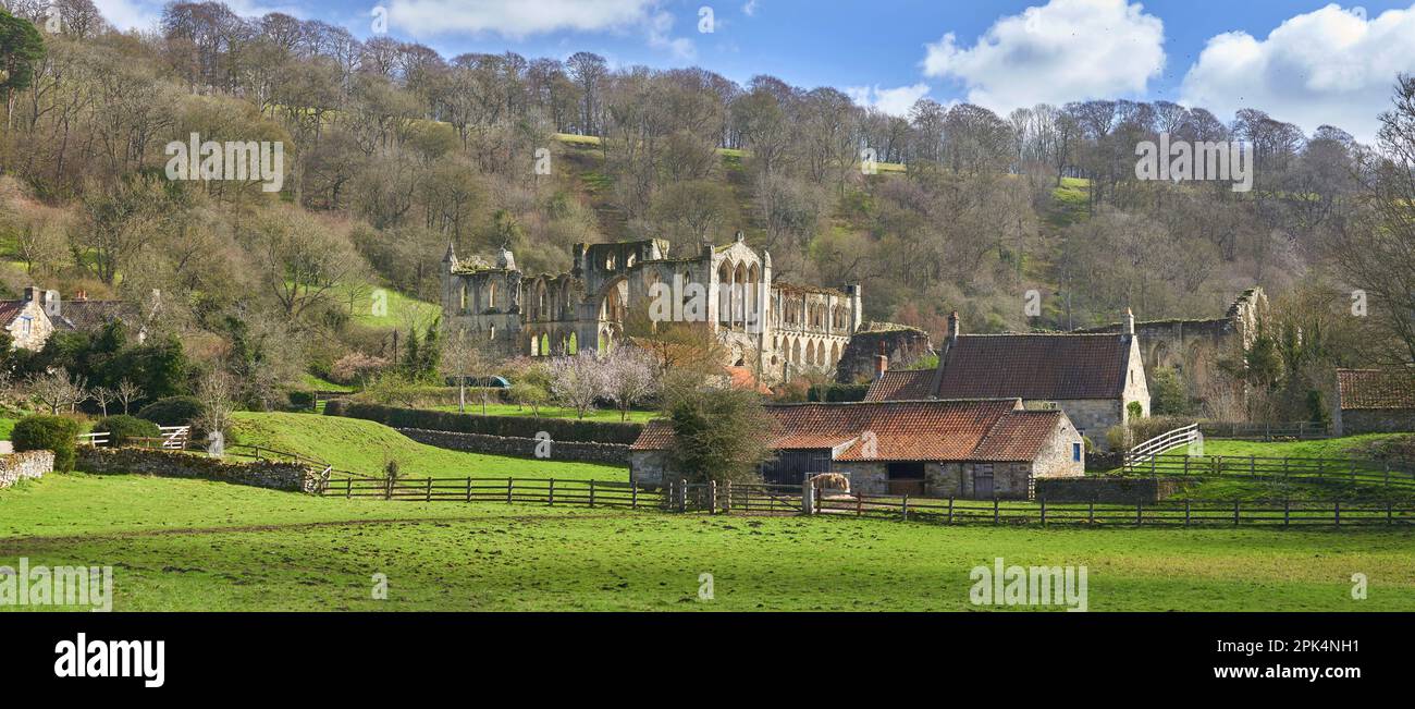 Abbaye de Rievaulx North York Moors Yorkshire Angleterre Banque D'Images