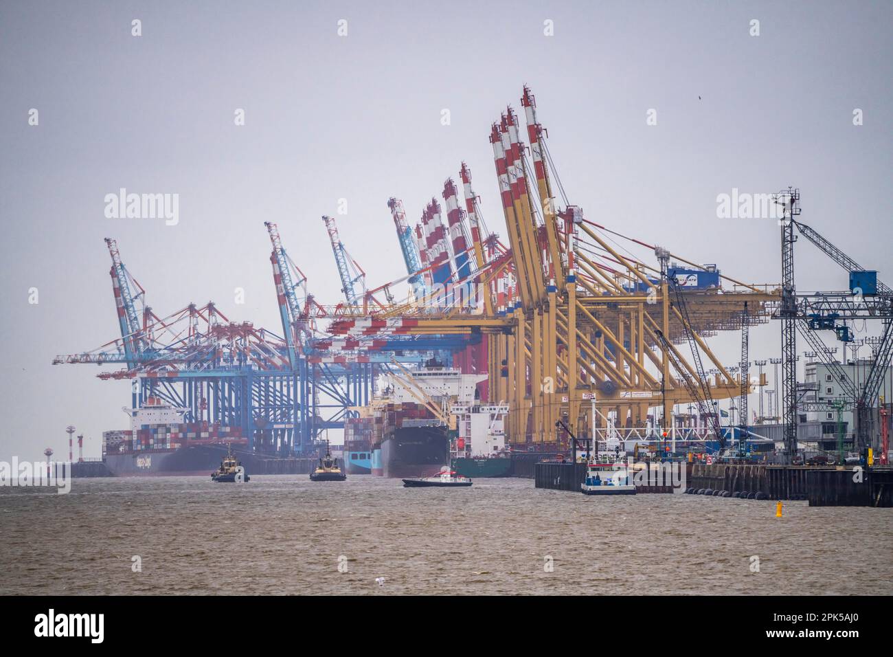 MSC et terminal de conteneurs Eurogate dans le port maritime de Bremerhaven, terminal de conteneurs Eurogate avec près de 50 grues portiques de conteneurs, sur une longueur o Banque D'Images