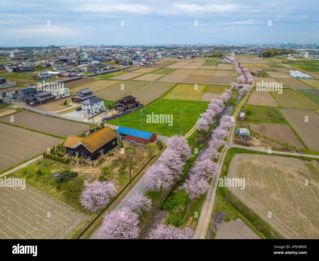 Vue aérienne de la maison japonaise au bord de la rivière avec fleurs de cerisier en pleine floraison Banque D'Images