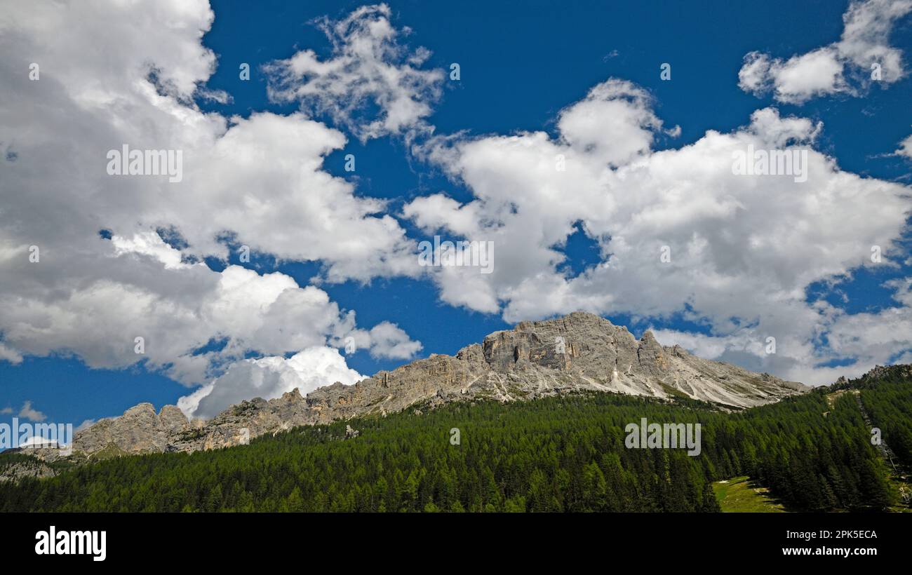 Montagnes majestueuses et forêt, Lago di Misurina, Italie Banque D'Images