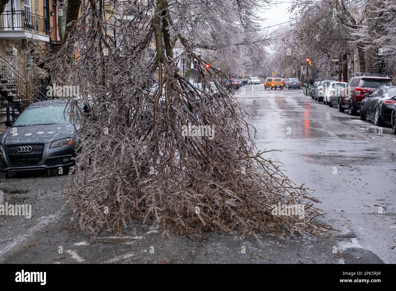 Montréal, CANADA - 5 avril 2023 : la tempête de pluie verglaçante a endommagé un arbre Banque D'Images