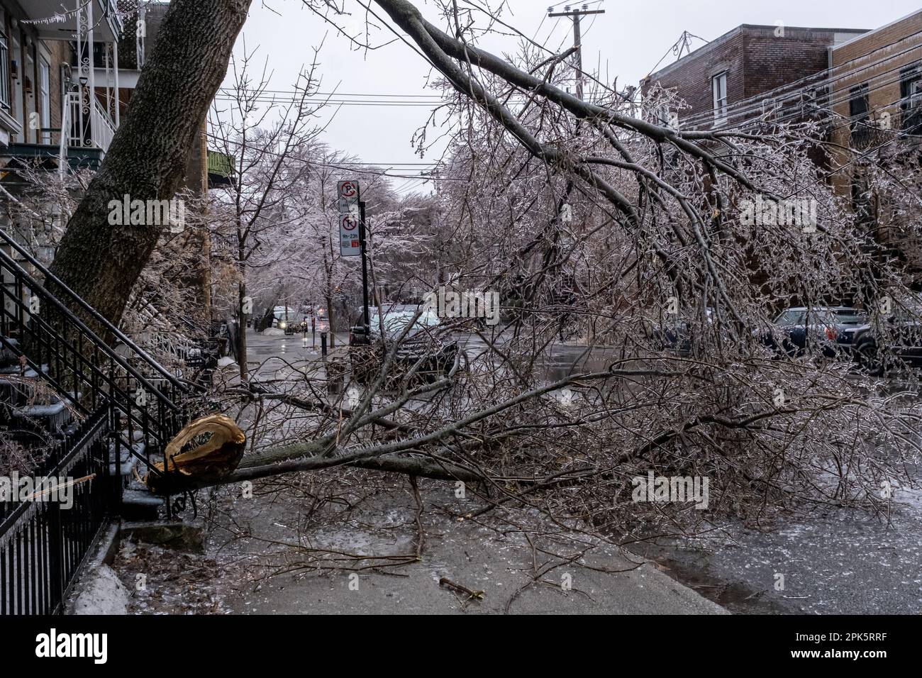 Montréal, CANADA - 5 avril 2023 : la tempête de pluie verglaçante a endommagé un arbre Banque D'Images