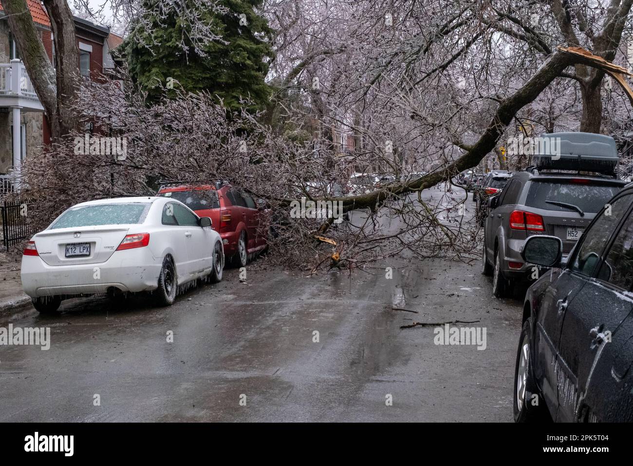 Montréal, CANADA - 5 avril 2023 : voiture sous un arbre glacé brisé après une pluie verglaçante Banque D'Images