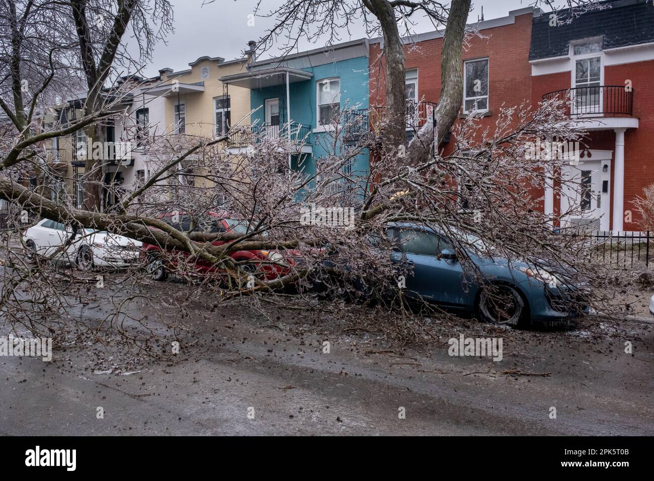 Montréal, CANADA - 5 avril 2023 : voiture sous un arbre glacé brisé après une pluie verglaçante Banque D'Images
