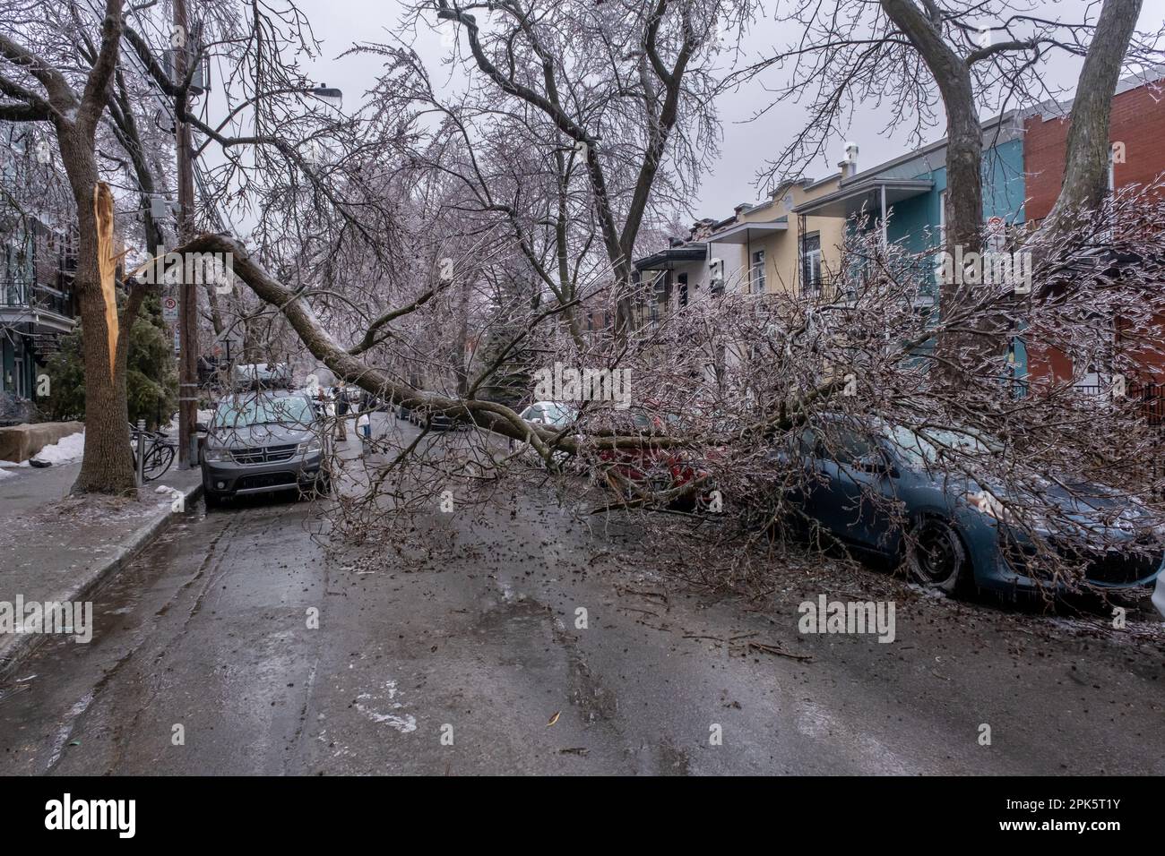 Montréal, CANADA - 5 avril 2023 : voiture sous un arbre glacé brisé après une pluie verglaçante Banque D'Images