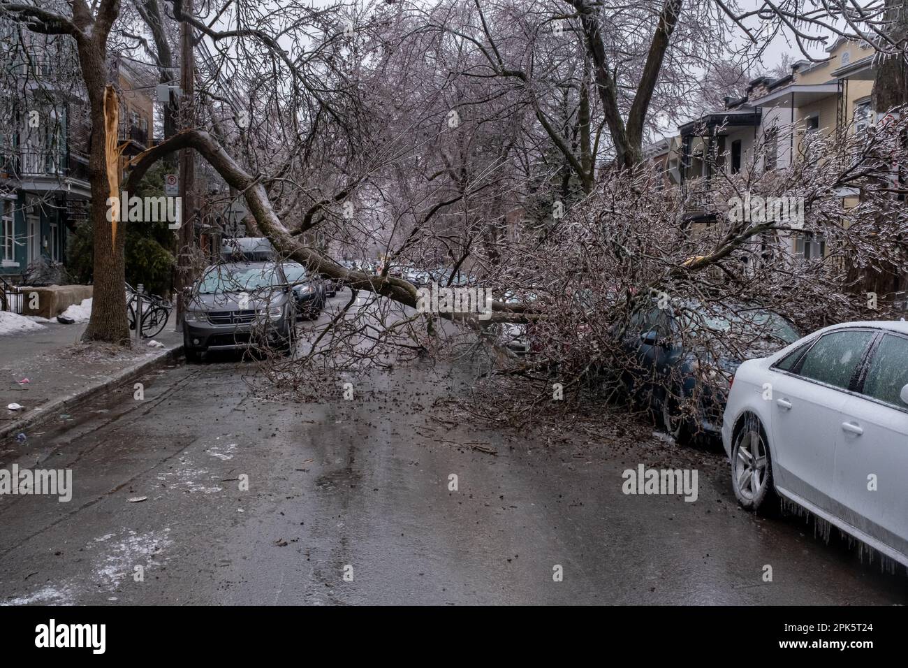 Montréal, CANADA - 5 avril 2023 : voiture sous un arbre glacé brisé après une pluie verglaçante Banque D'Images