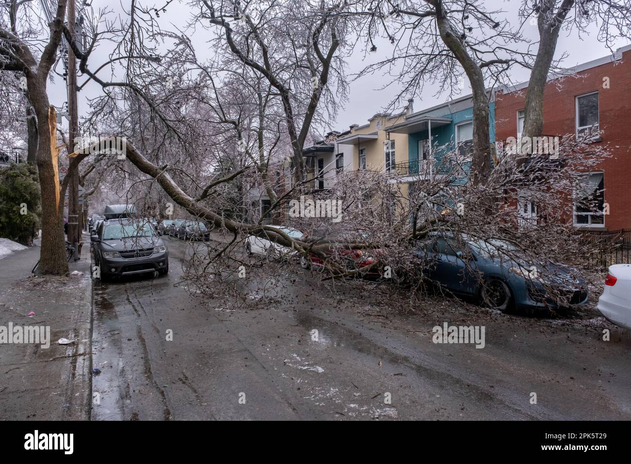 Montréal, CANADA - 5 avril 2023 : voiture sous un arbre glacé brisé après une pluie verglaçante Banque D'Images