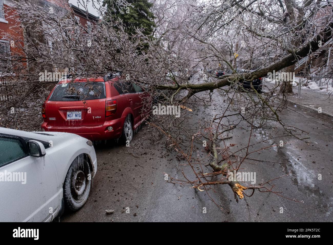 Montréal, CANADA - 5 avril 2023 : voiture sous un arbre glacé brisé après une pluie verglaçante Banque D'Images