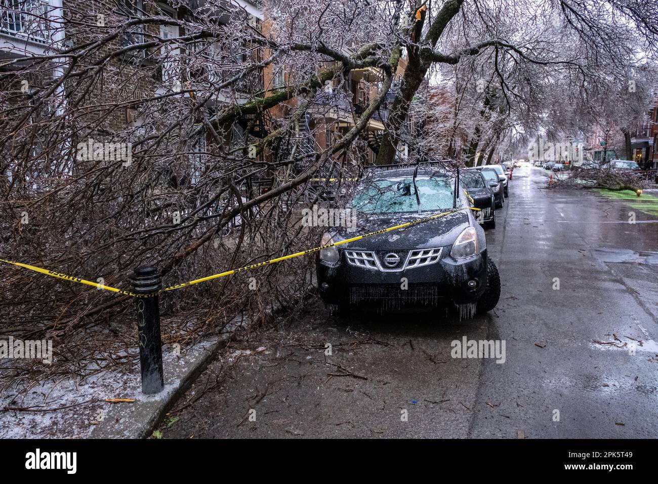 Montréal, CANADA - 5 avril 2023 : voiture sous un arbre glacé brisé après une pluie verglaçante Banque D'Images