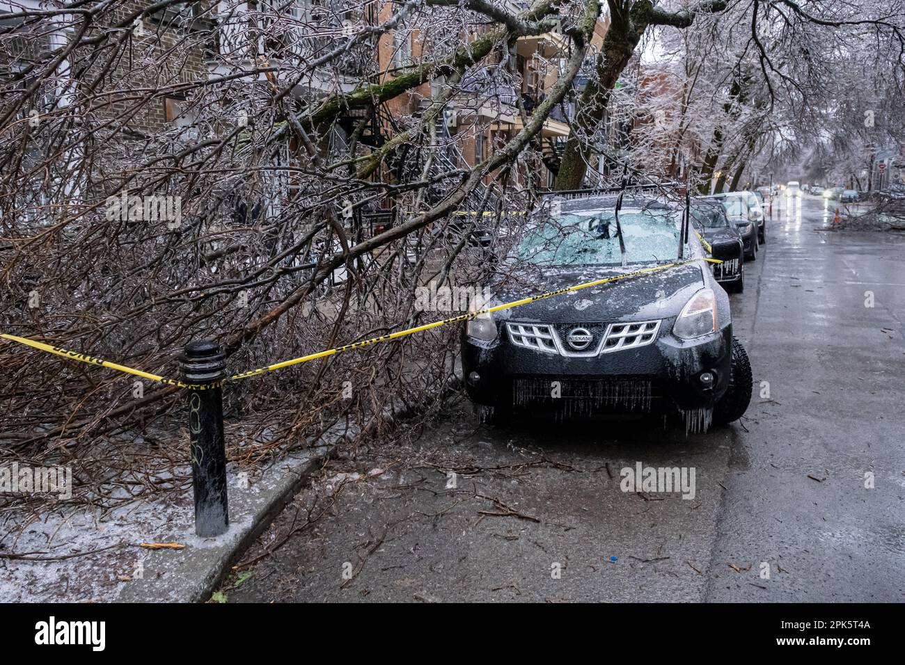Montréal, CANADA - 5 avril 2023 : voiture sous un arbre glacé brisé après une pluie verglaçante Banque D'Images