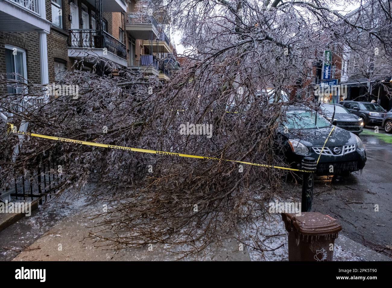 Montréal, CANADA - 5 avril 2023 : voiture sous un arbre glacé brisé après une pluie verglaçante Banque D'Images