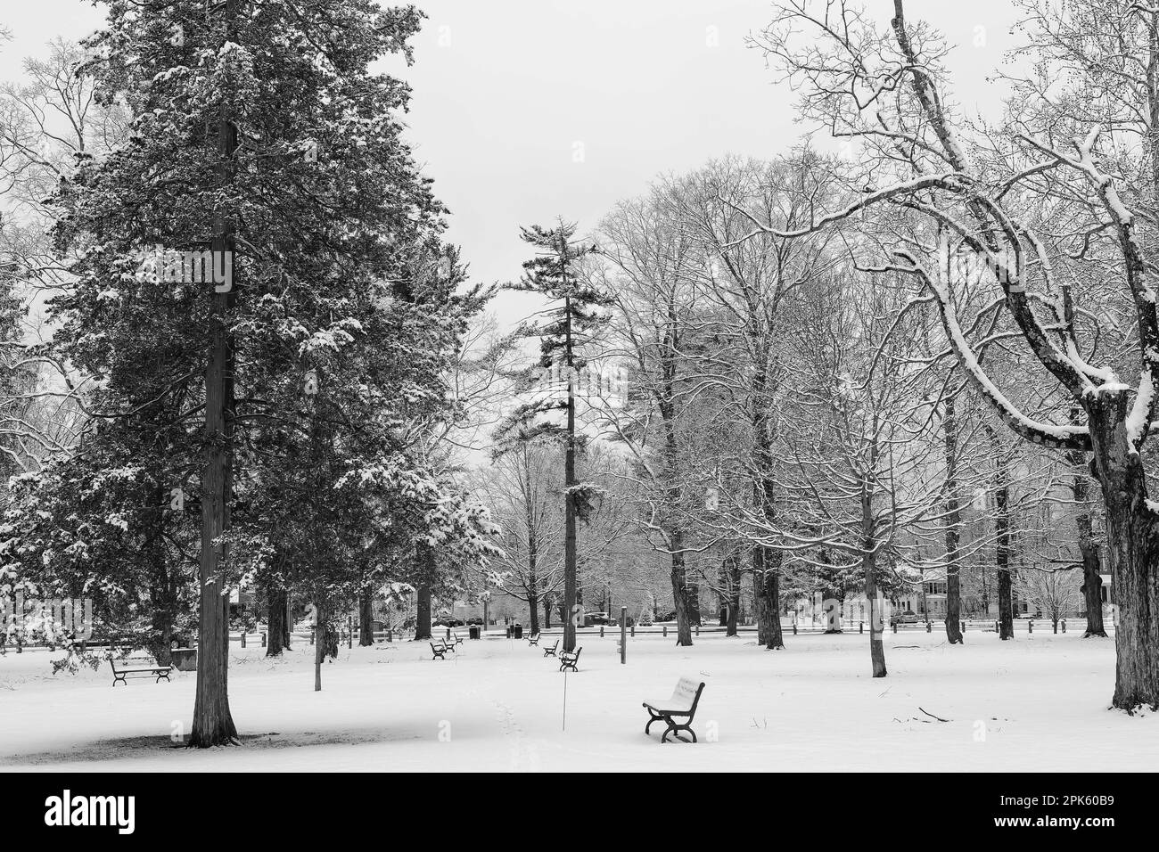 Centré dans le village d'Amherst est son vert, avec des bancs de parc et de grands arbres. tous les types d'événements sont organisés ici, en particulier par temps chaud. Un beau remorquage Banque D'Images