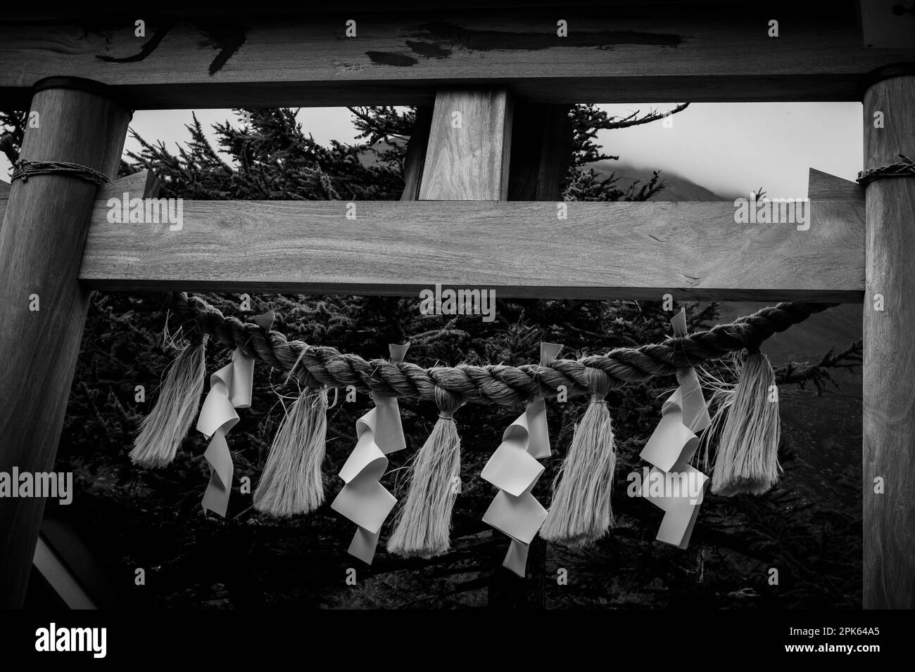 Un shimenawa sur une porte de torii, Japon Banque D'Images